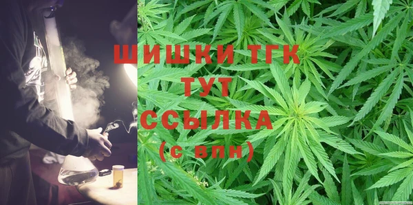 тгк Богданович