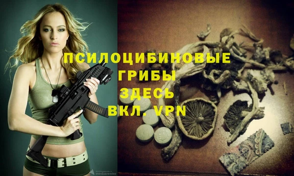 МДПВ Богородск
