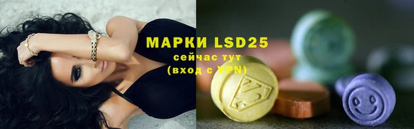 тгк Богданович