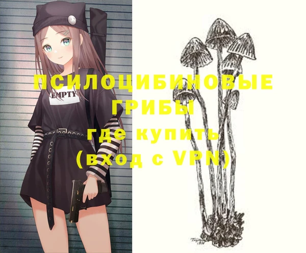 стафф Богородицк