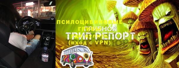 тгк Богданович