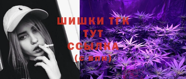 МДПВ Богородск