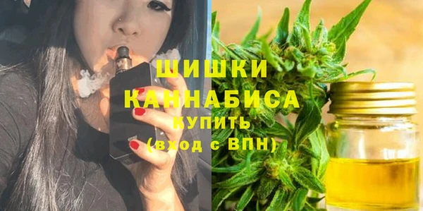 МДПВ Богородск