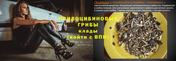 тгк Богданович