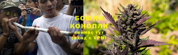 spice Белокуриха