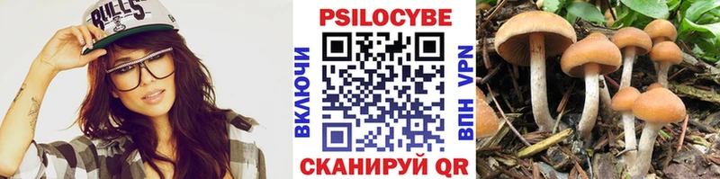 Галлюциногенные грибы Psilocybe  Верхний Уфалей 